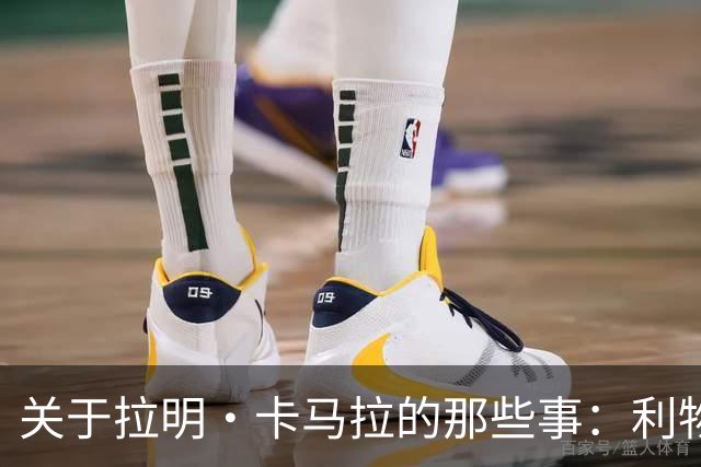 关于拉明·卡马拉的那些事：利物浦的“没动”之谜
